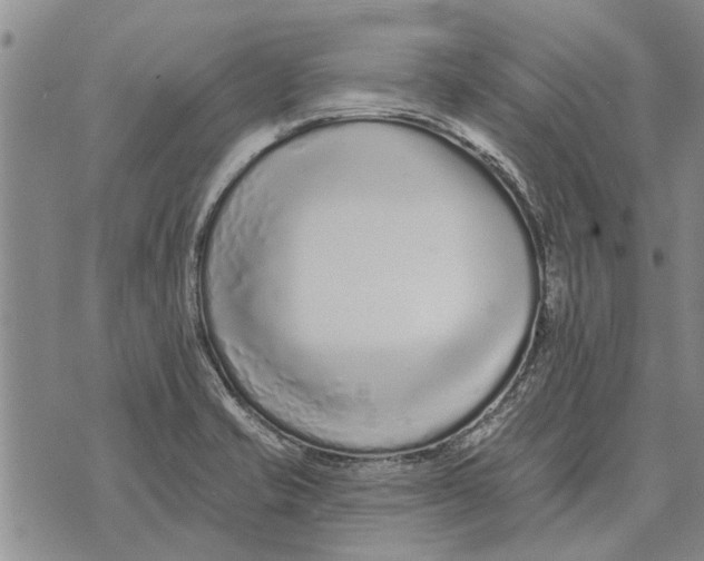 X0000073711421200608311743