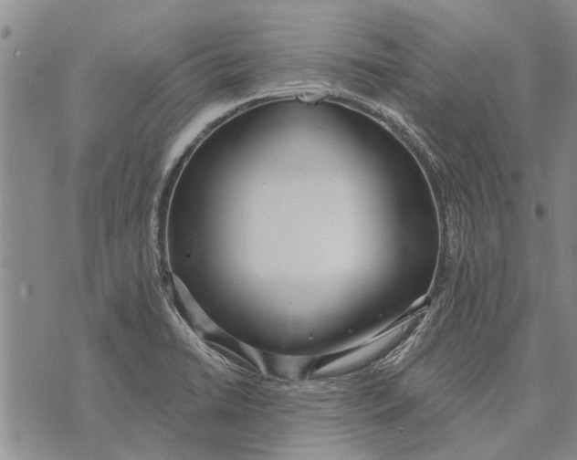 X0000073711422200608311743