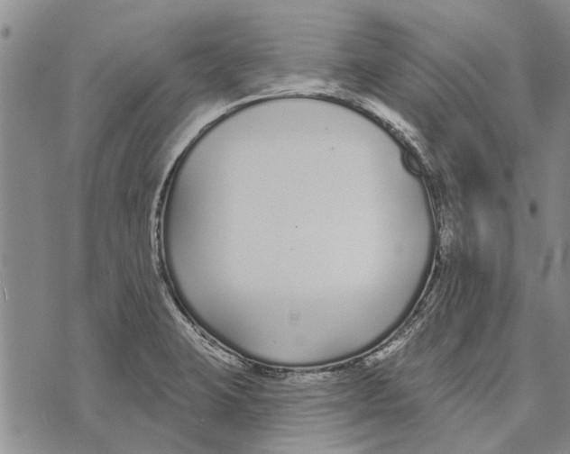 X0000073711423200608311743