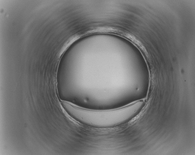 X0000073711425200608311743