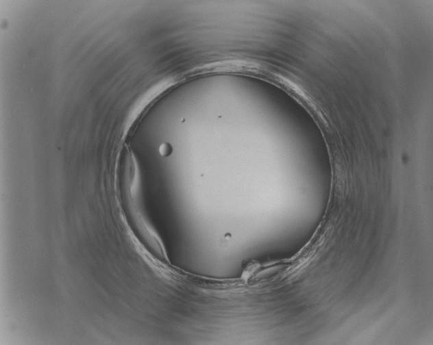 X0000073711426200608311743