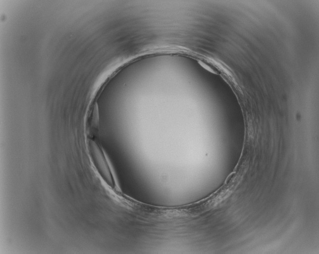 X0000073711430200608311743