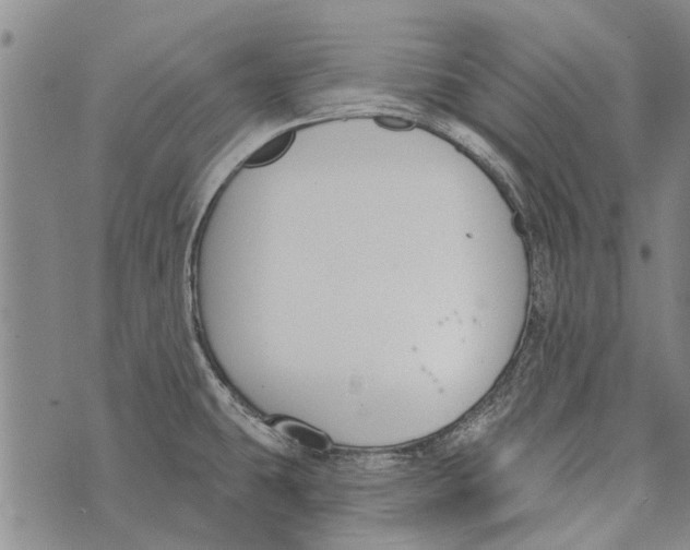 X0000073711431200608311743