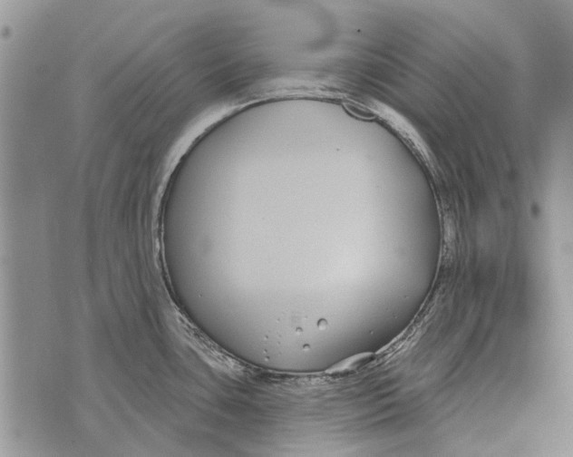 X0000073711435200608311743