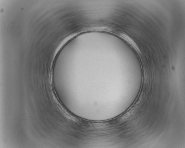 X0000073711436200608311743