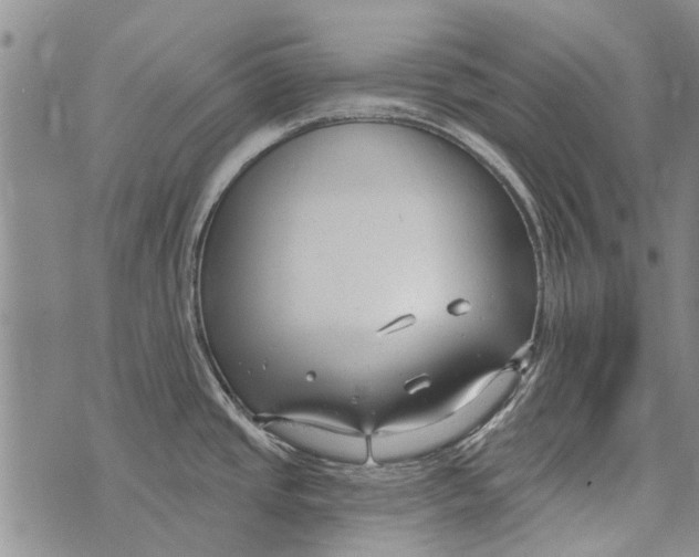 X0000073711437200608311743