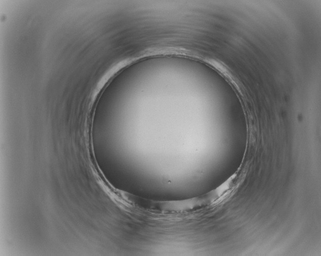 X0000073711438200608311743