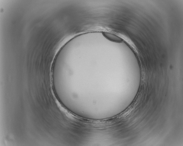 X0000073711439200608311743