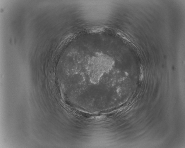 X0000073711441200608311743