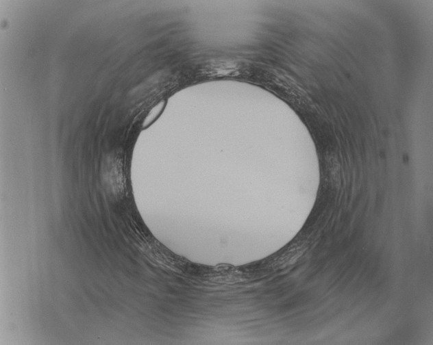 X0000073711442200608311743