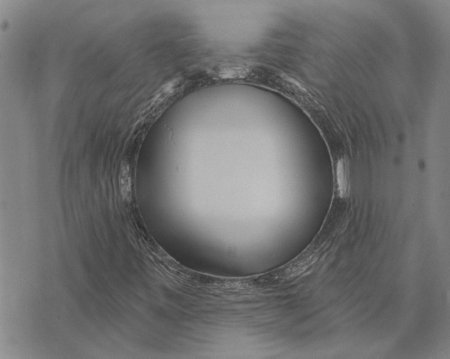 X0000073711443200608311743