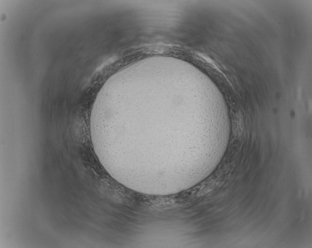 X0000073711446200608311743