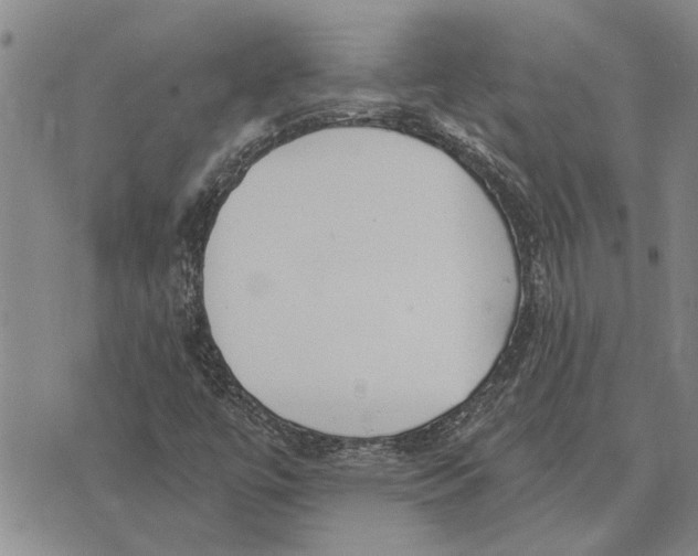 X0000073711447200608311743