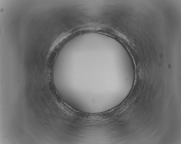 X0000073711448200608311743