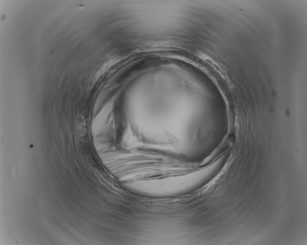 X0000073711449200608311743