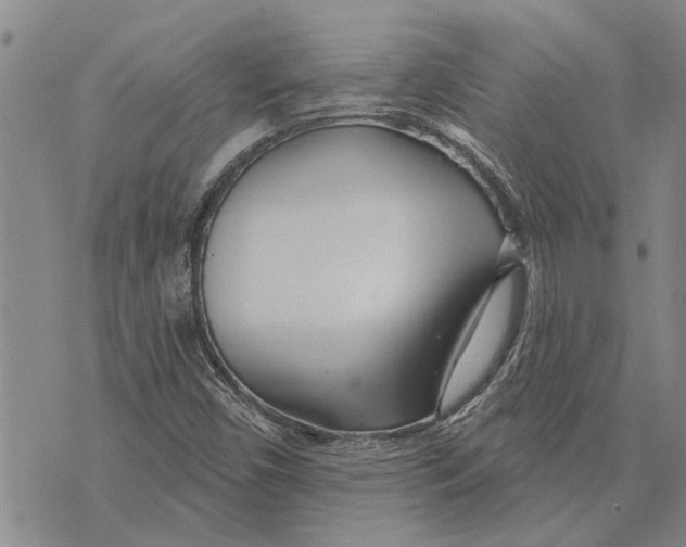 X0000073711450200608311743