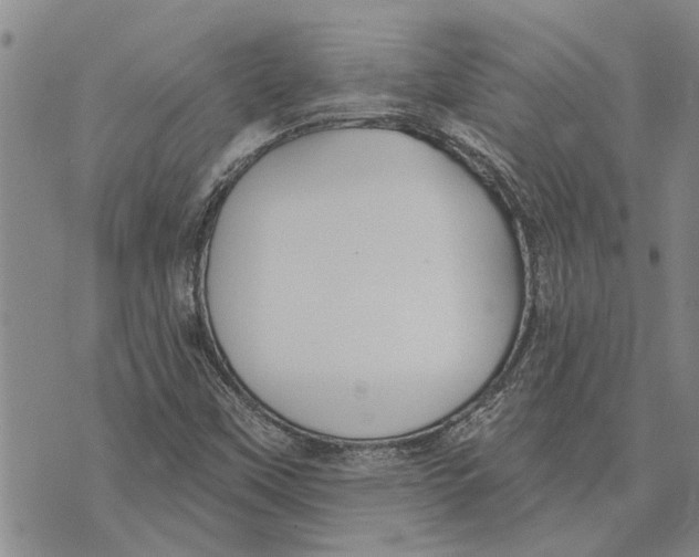 X0000073711451200608311743