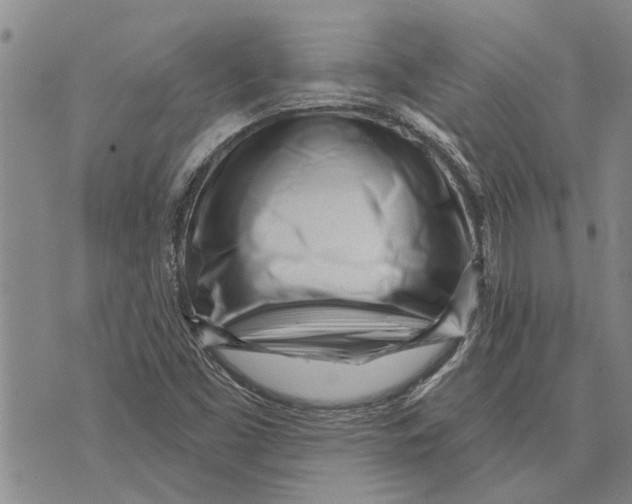 X0000073711453200608311743