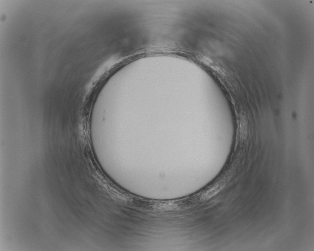 X0000073711454200608311743