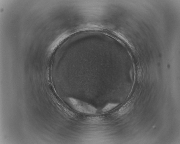 X0000073711455200608311743