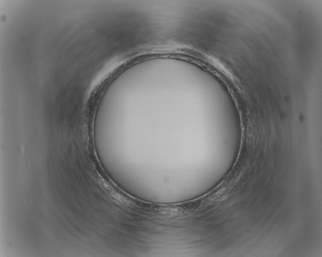 X0000073711456200608311742