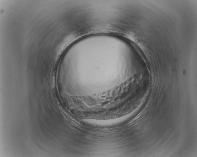 X0000073711459200608311742