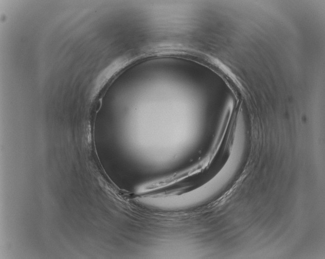 X0000073711461200608311742