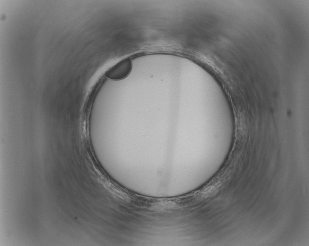 X0000073711462200608311742