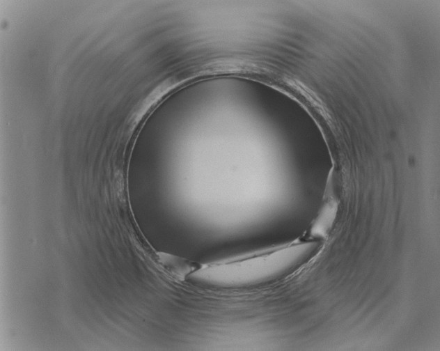 X0000073711465200608311742