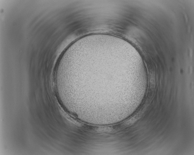 X0000073711466200608311742