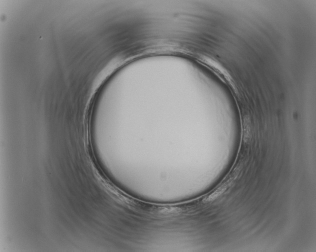 X0000073711467200608311742