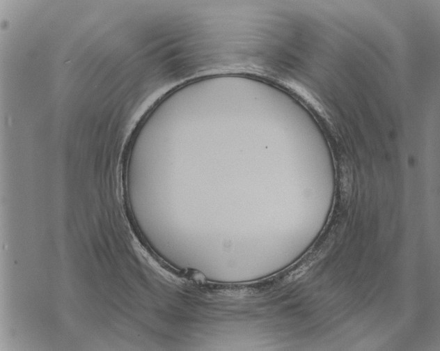 X0000073711468200608311742