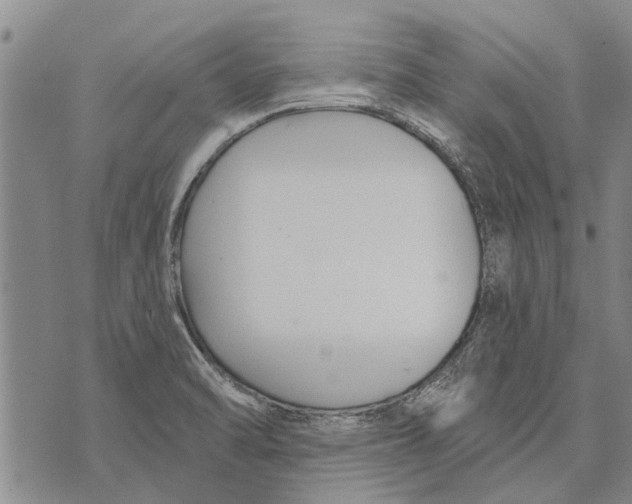 X0000073711470200608311742