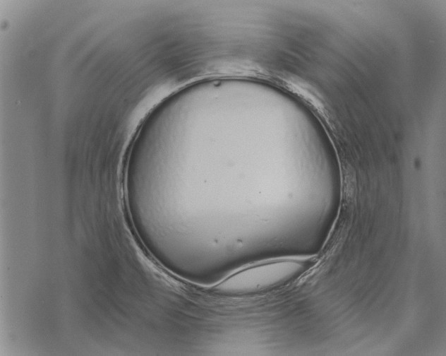 X0000073711471200608311742