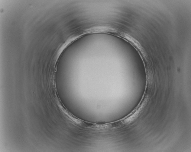 X0000073711473200608311742