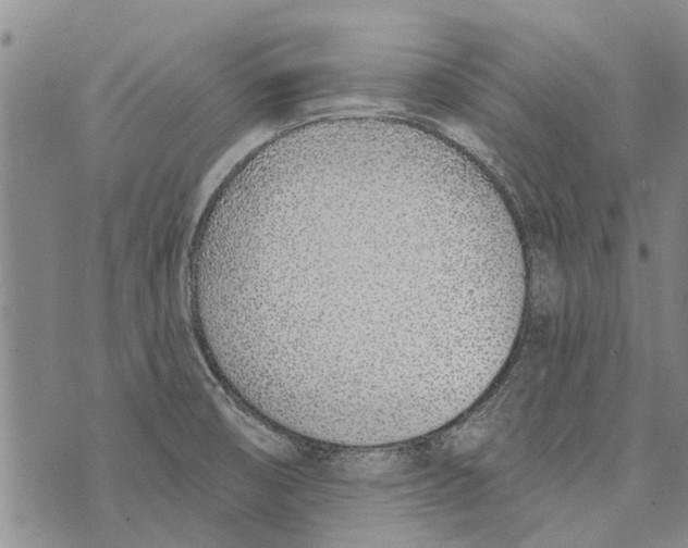 X0000073711474200608311742