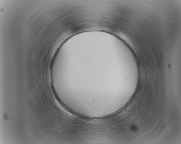 X0000073711476200608311742