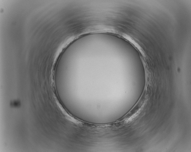 X0000073711477200608311742