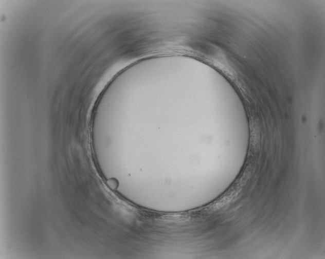 X0000073711478200608311742