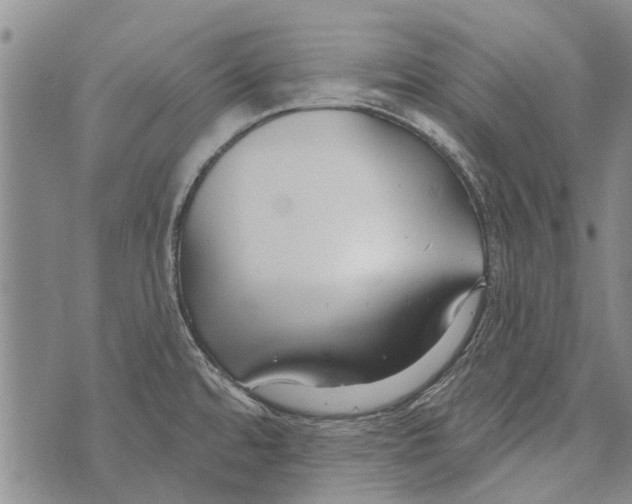 X0000073711480200608311742