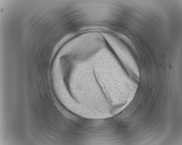 X0000073711482200608311742