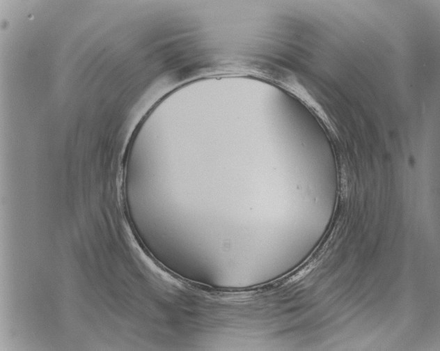 X0000073711484200608311742