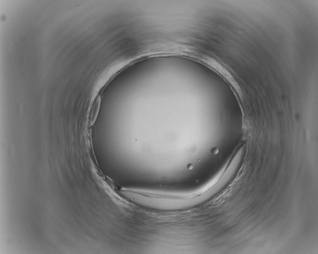 X0000073711485200608311742