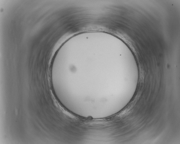 X0000073711486200608311742