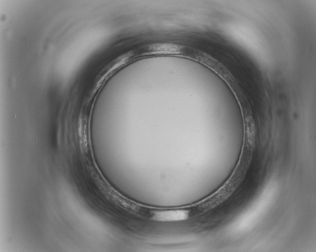 X0000073711487200608311742