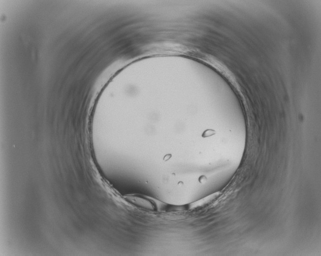 X0000073711488200608311742