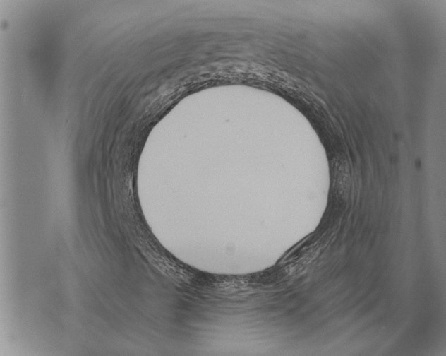 X0000073711489200608311741