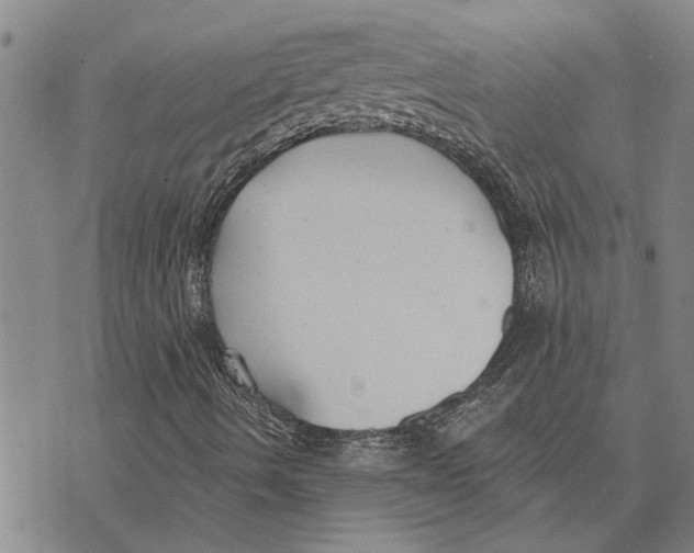 X0000073711490200608311741