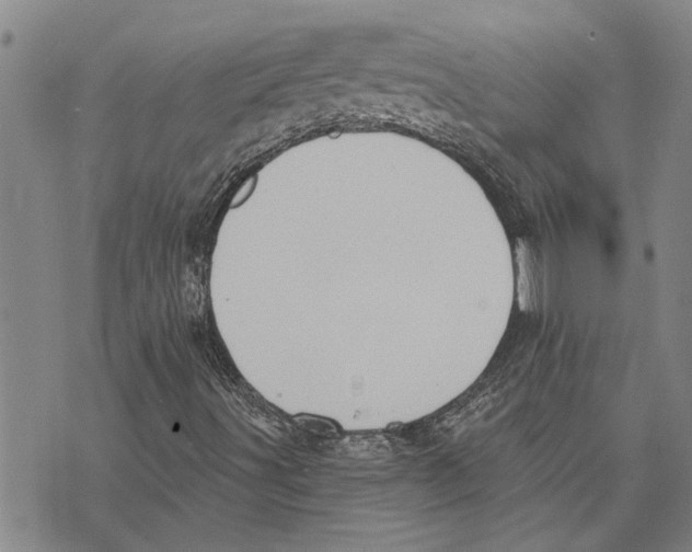 X0000073711491200608311741