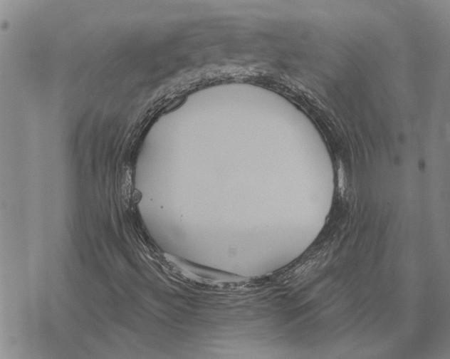 X0000073711492200608311741